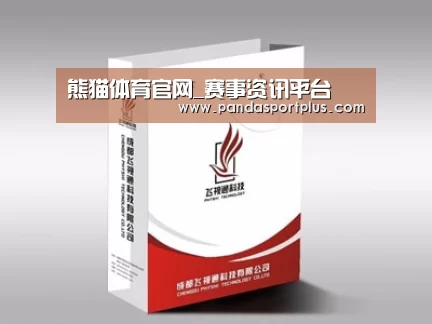 项目名称十三