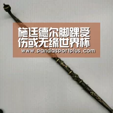 施廷德尔脚踝受伤或无缘世界杯【熊猫体育平台】(图2) 熊猫体育平台