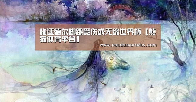 施廷德尔脚踝受伤或无缘世界杯【熊猫体育平台】(图1) 熊猫体育平台