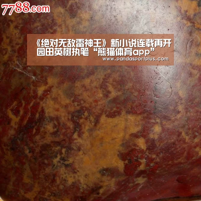 《绝对无敌雷神王》新小说连载再开 园田英树执笔“熊猫体育app”(图1) 熊猫体育官网