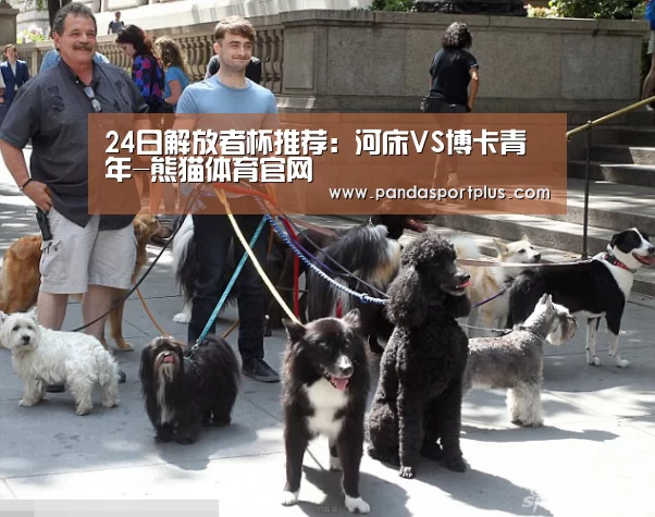 24日解放者杯推荐:河床VS博卡青年-熊猫体育官网(图2) 熊猫体育官网
