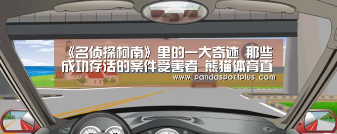 熊猫体育平台