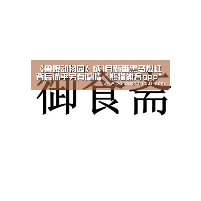 熊猫体育官网